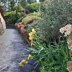 Hébergement de vacances Casa Dulcinea - En Ribeira Sacra Serode