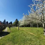 Hébergement de vacances Casa Dulcinea - En Ribeira Sacra Serode